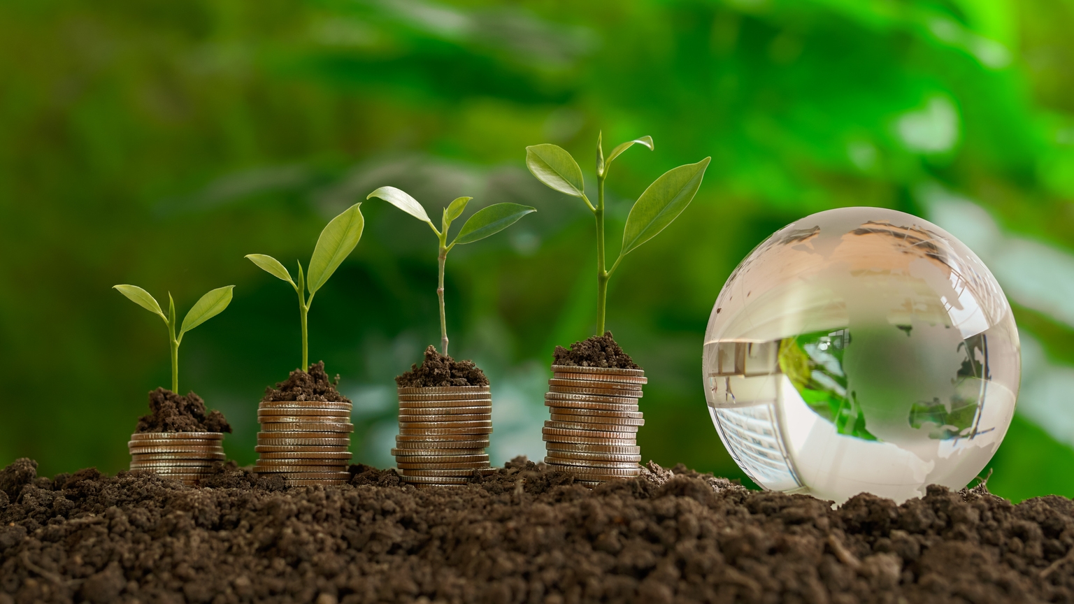 Young plants growing on stacked coins beside a globe, symbolizing sustainable investment, financial growth, and environmental responsibility.