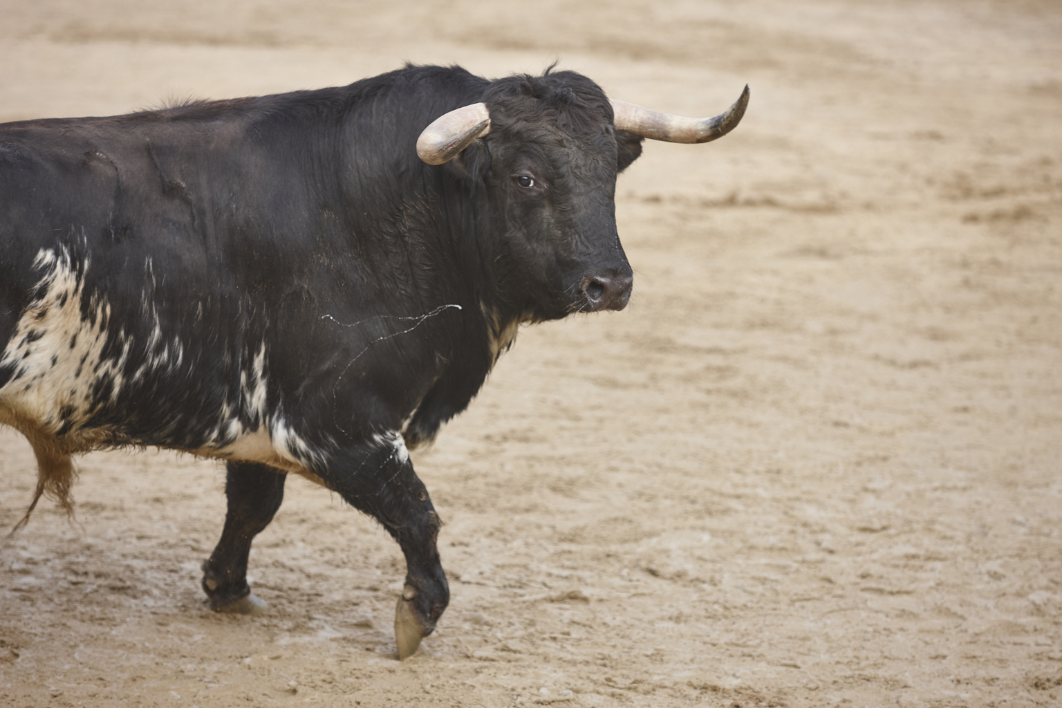 seekingalpha.com - Peter Geppert - Omnicell: Why I'm Long Into Q2 Earnings Despite The Bookings Wobble (NASDAQ:OMCL)