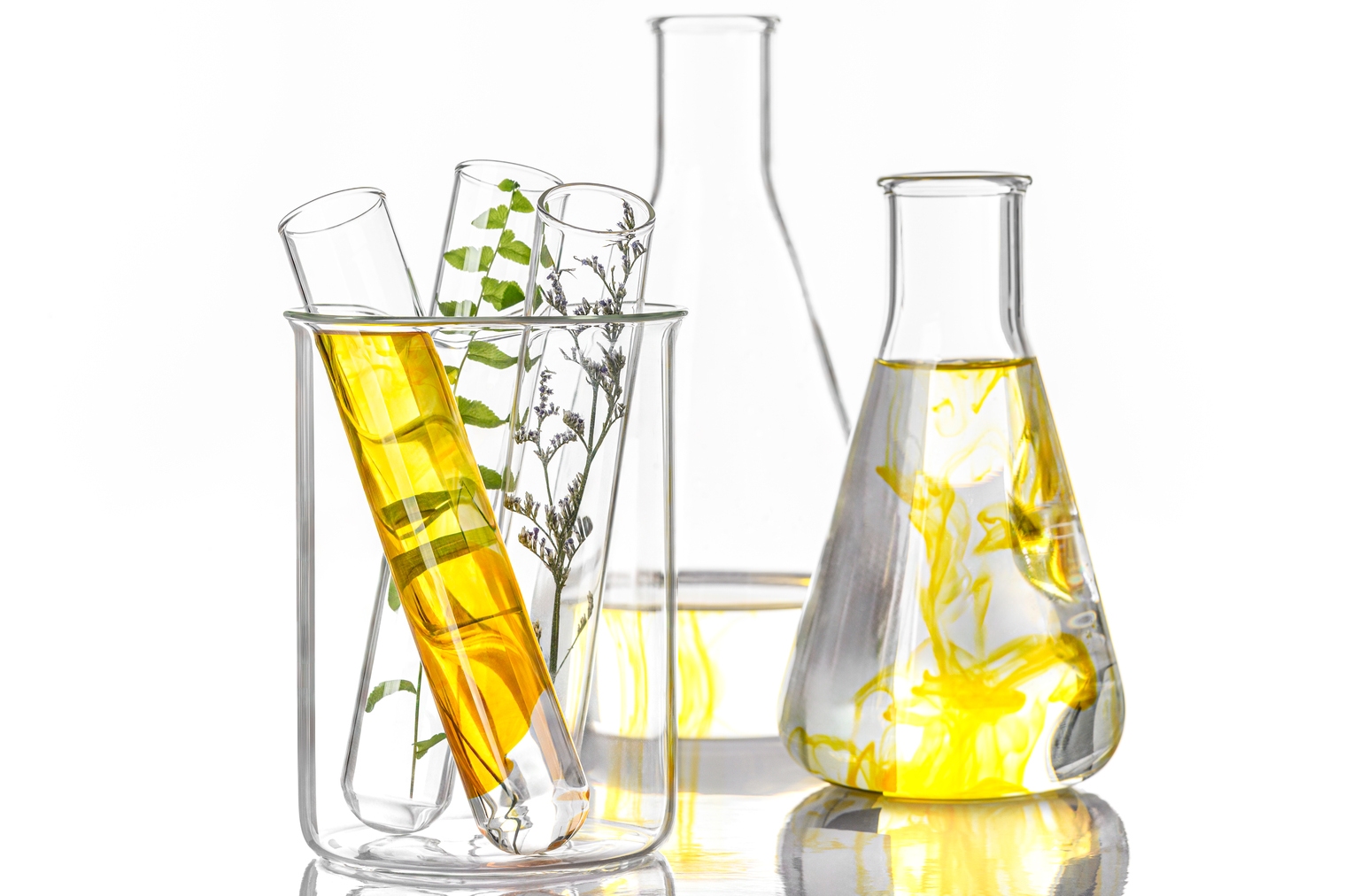 Definium: 'Strong Buy' Maintained On Several Anticipated 2026 Milestones (NASDAQ:DFTX)