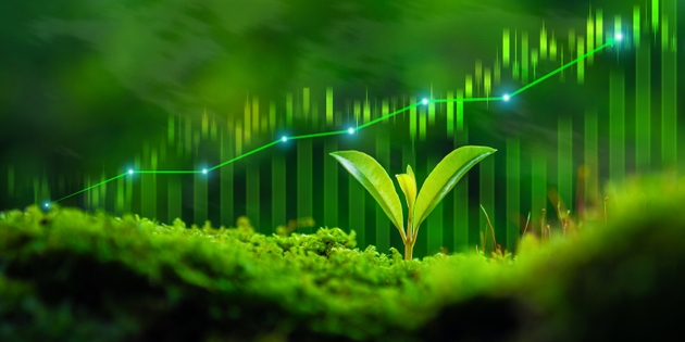 Sustainable green business growth and green investment concepts, with updated financial charts and seedlings growing against a sunny background. Growth of money, finance, and investment.