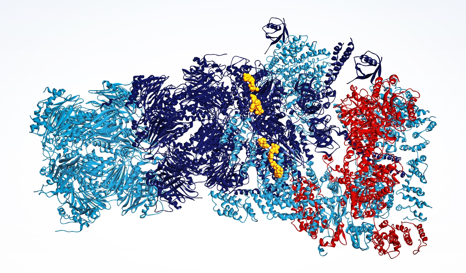 Arvinas: Veppanu Approval Underlines Degrader Platform Promise - I'm Bullish (NASDAQ:ARVN)