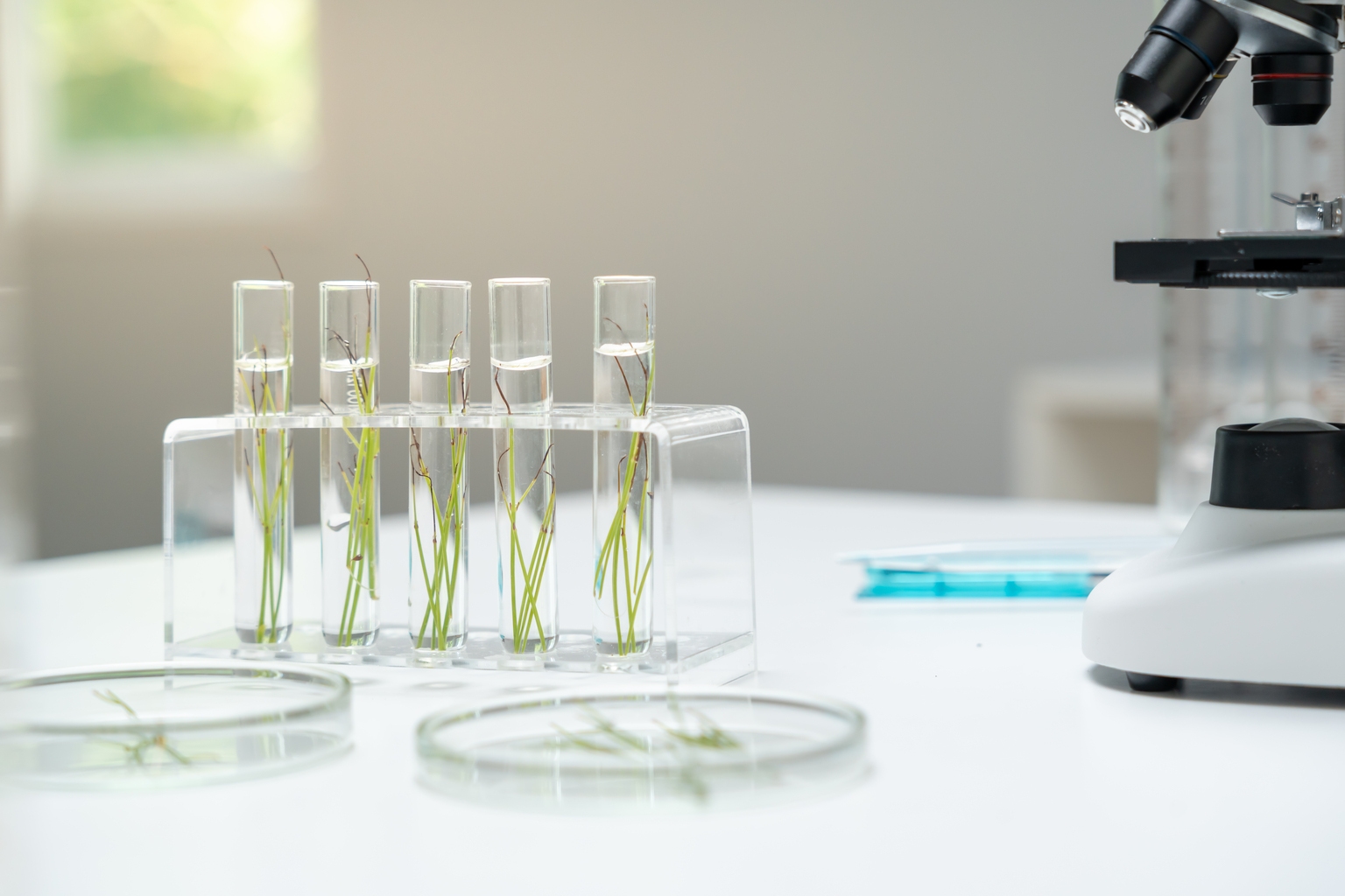 Nektar: "Strong Buy" On REZPEG POC Established In AD/AA And Late-Stage Development (NKTR)