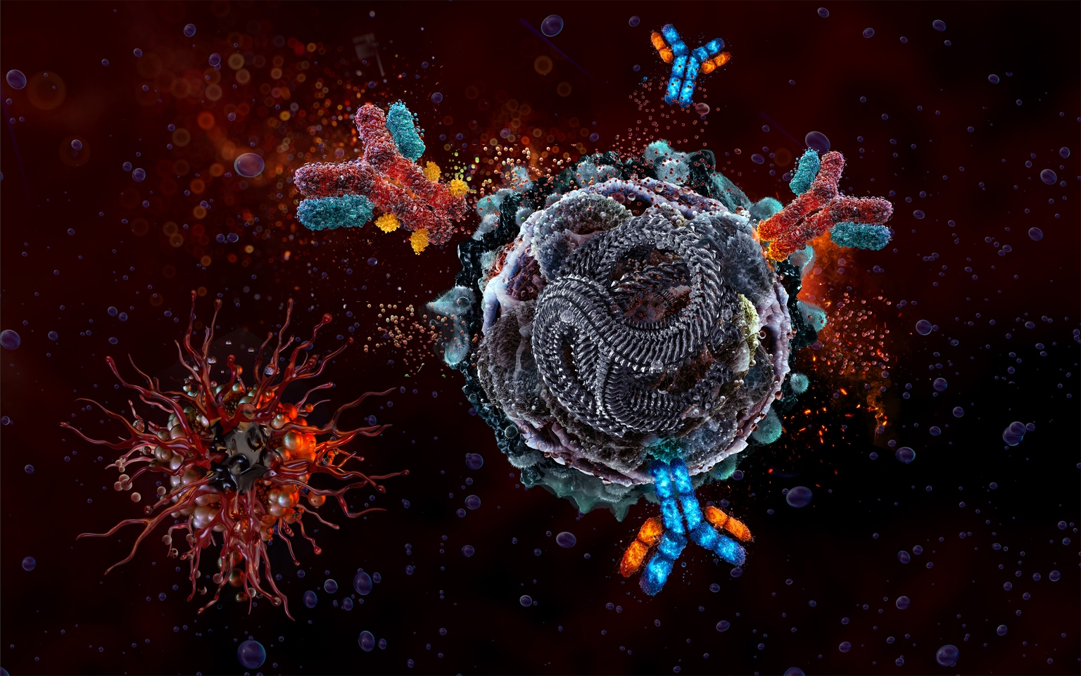 Kyverna Therapeutics: 'Strong Buy' On Additional POC Of Miv-Cel In Myasthenia Gravis