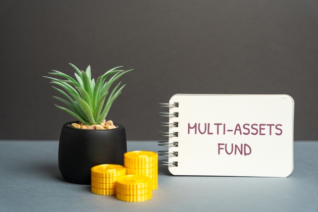Multi-assets fund concept. Diversified investment mix combining stocks