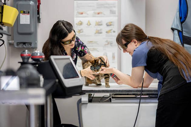 Four Corners Property uzavřela obchod s 102 veterinárními klinikami za 268 milionů dolarů