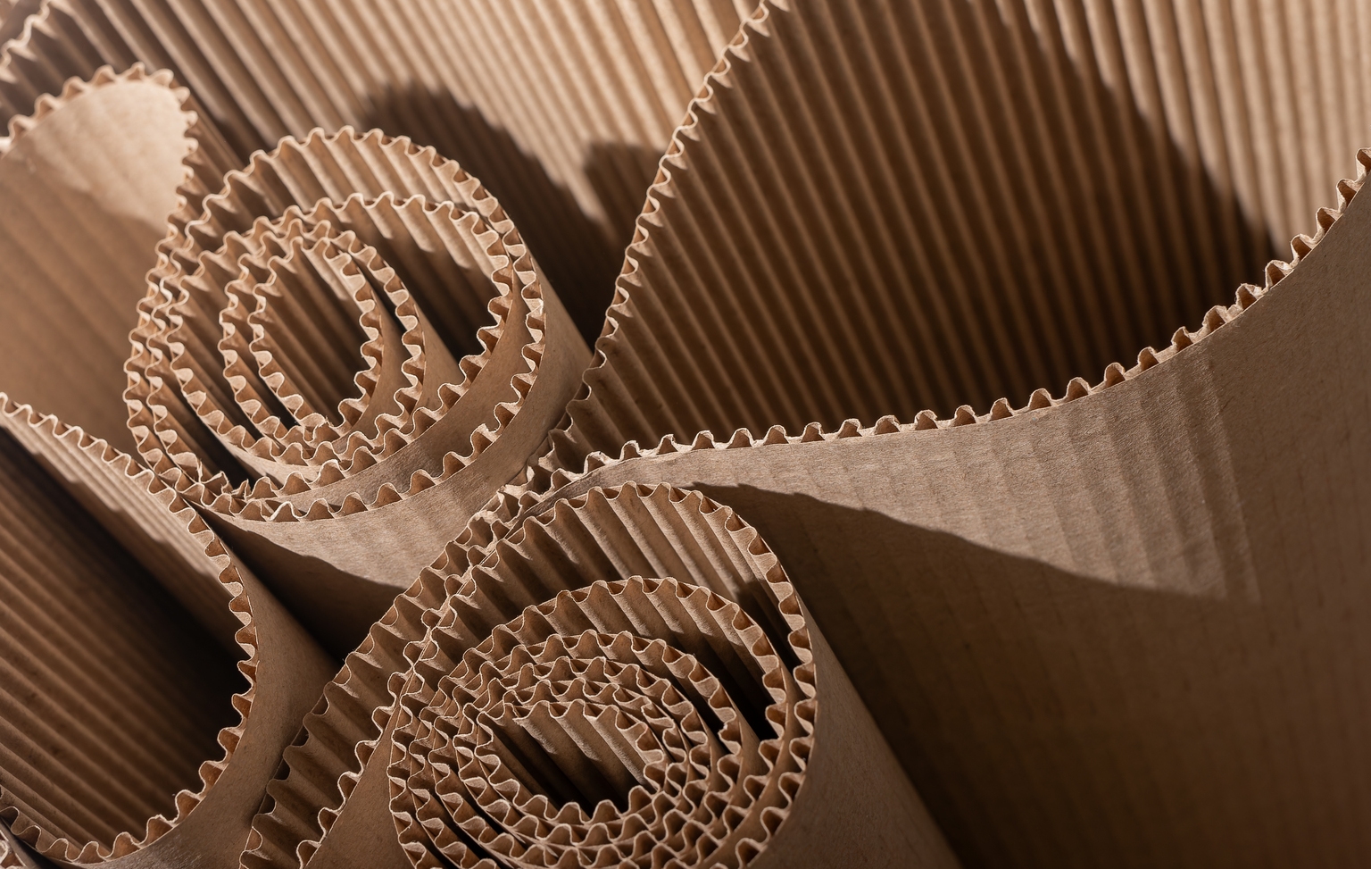 International Paper Q3 Preview: Wait For The Decision On EMEA Business