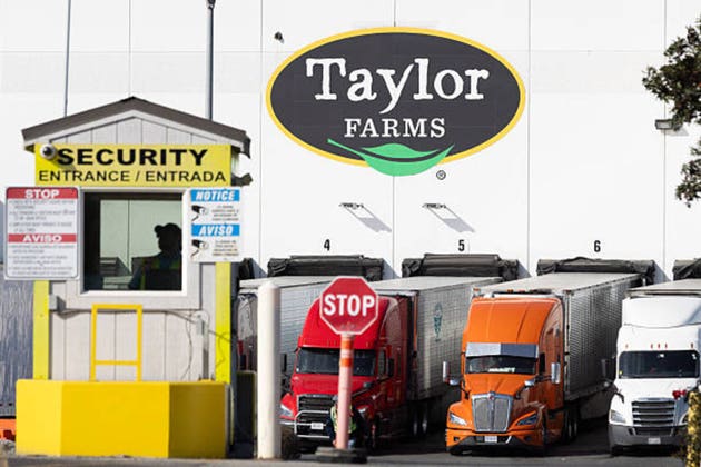 Salmonela v jalopeňech: Taylor Farms stahuje Products z prodeje