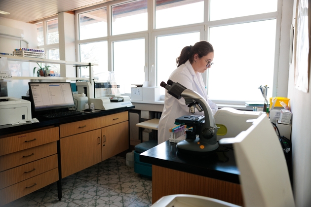Lab technician is working with samples, computer and medical records