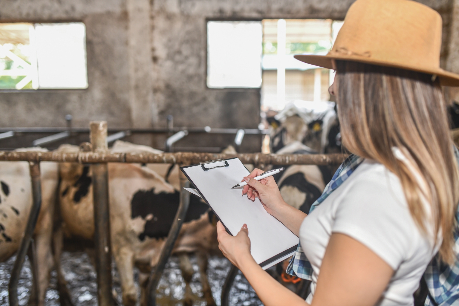 Neogen Corporation Stock: Promising Recurring Demand With Food Safety (NASDAQ:NEOG)