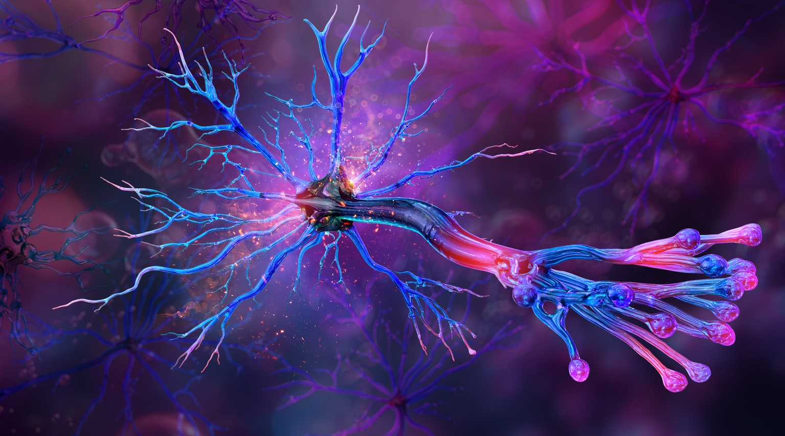 Praxis Precision Medicines: Still Potential Upside After Huge Rally (NASDAQ:PRAX)
