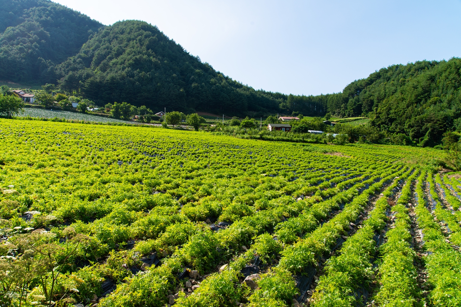 Federal Agricultural Mortgage: Locking In 7.28% With Preferred Shares (NYSE:AGM) Federal Agricultural Mortgage: Locking In 7.28% With Preferred Shares (NYSE:AGM)