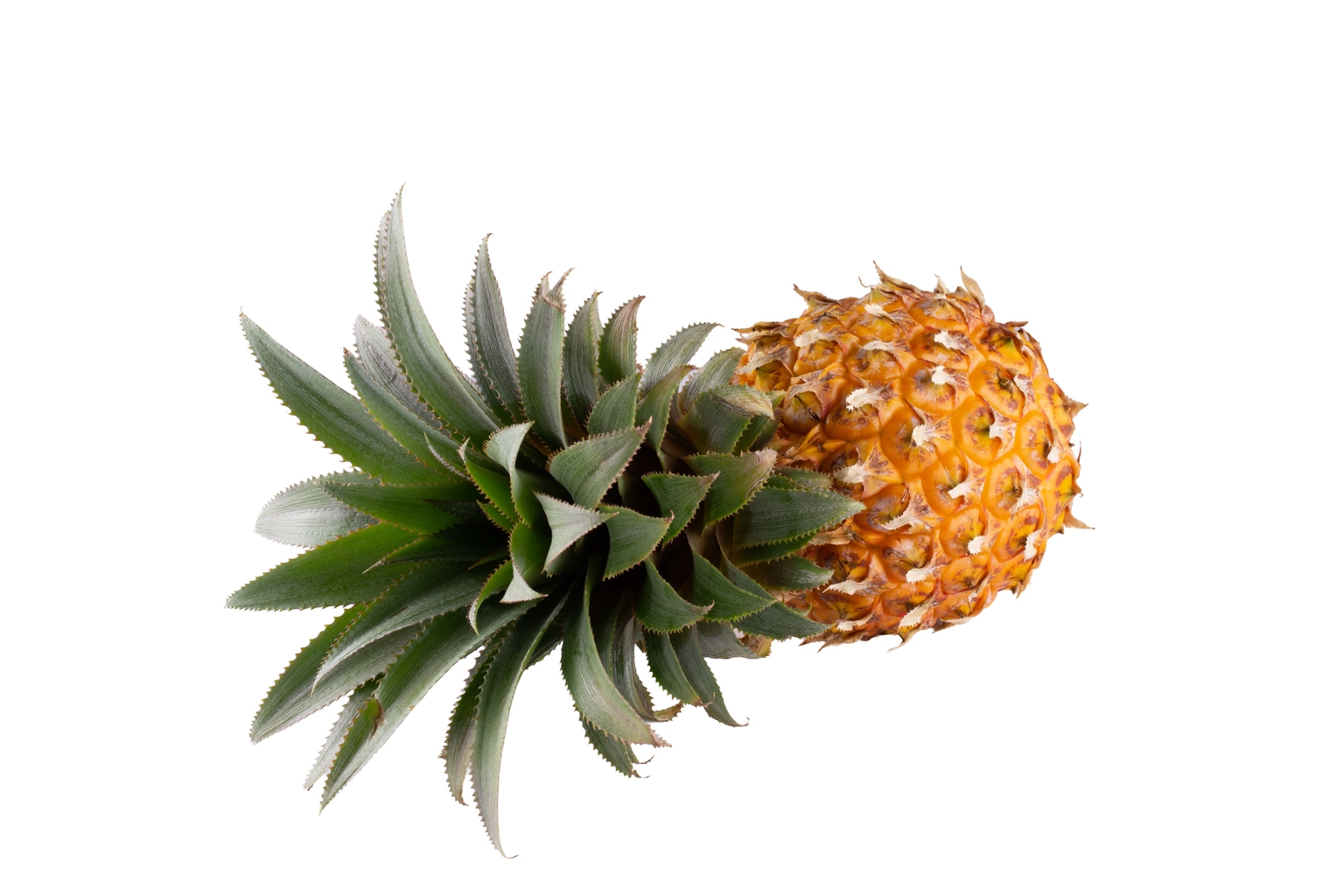 Dole: Offering Good Value At A Sub-5 EV/EBITDA Multiple