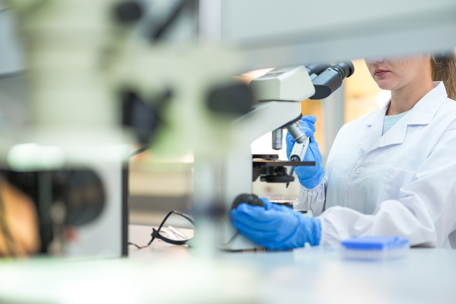 Xencor: 'Strong Buy' On Positive XmAb819 ESMO Data ccRCC And Potential For FDA Accelerated Approval Pathway