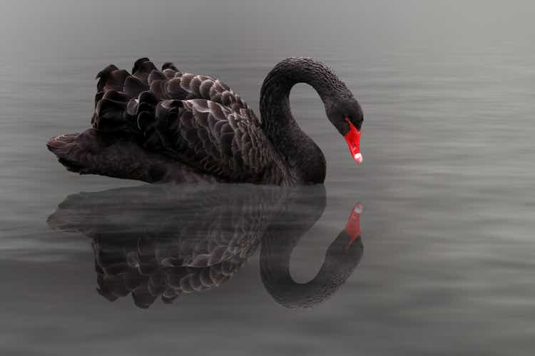 bitcoin-black-swans-are-lurking