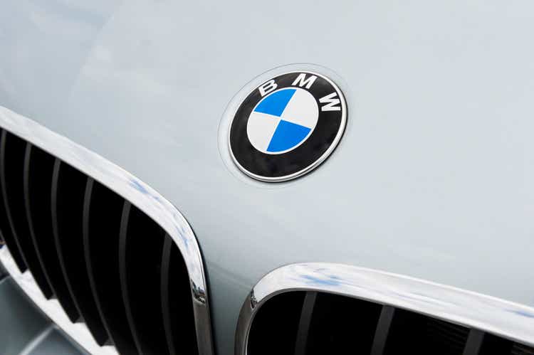BMW Emblem and Kidney Grille