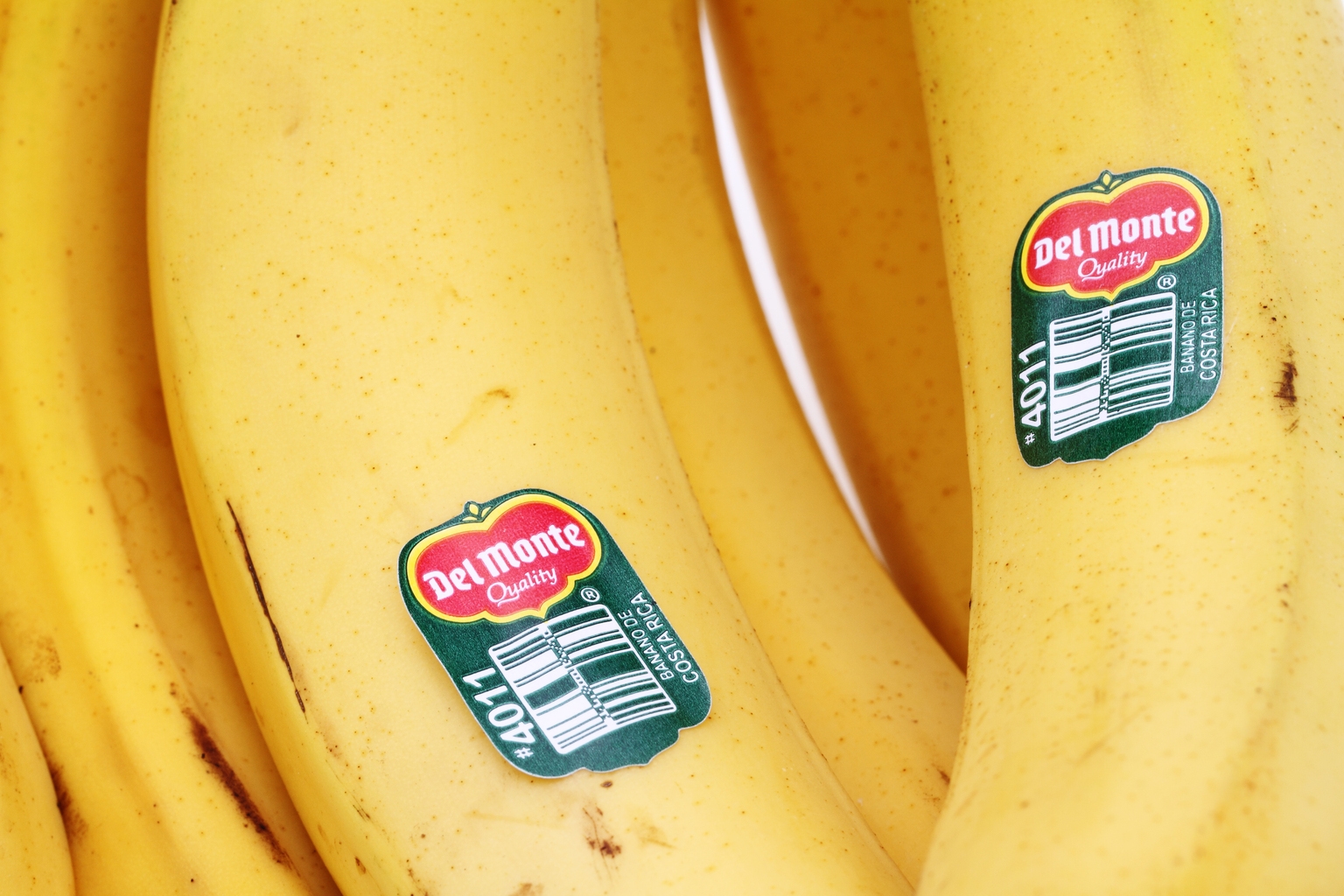 Fresh Del Monte: A Ripe Season To Harvest An Undervalued Stock (FDP) |  Seeking Alpha