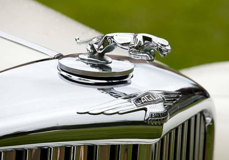 Jaguar ornament on the hood of a vintage car