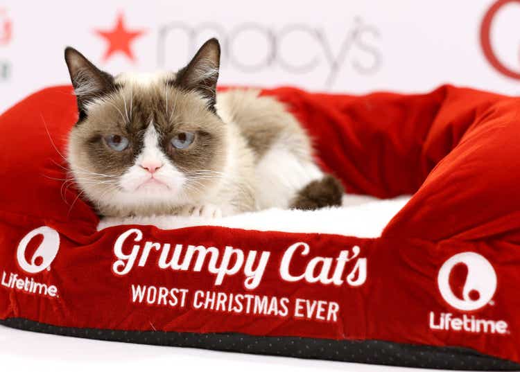 Lifetime"s Grumpy Cat"s Worst Christmas Ever