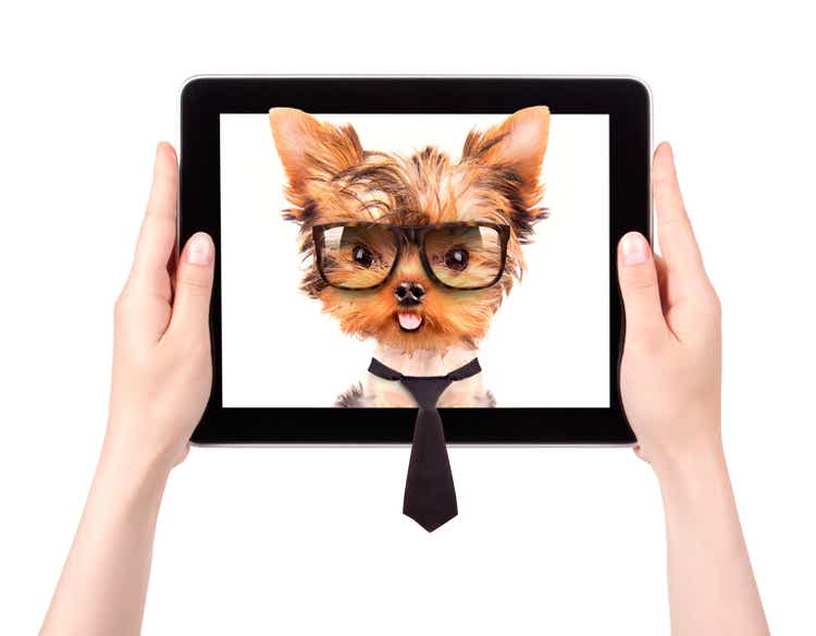 business dog on a digital tablet screen