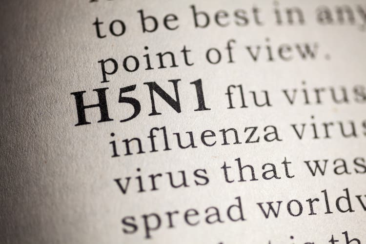 H5N1 flu