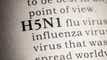 Virax surges amid bird flu concerns article thumbnail