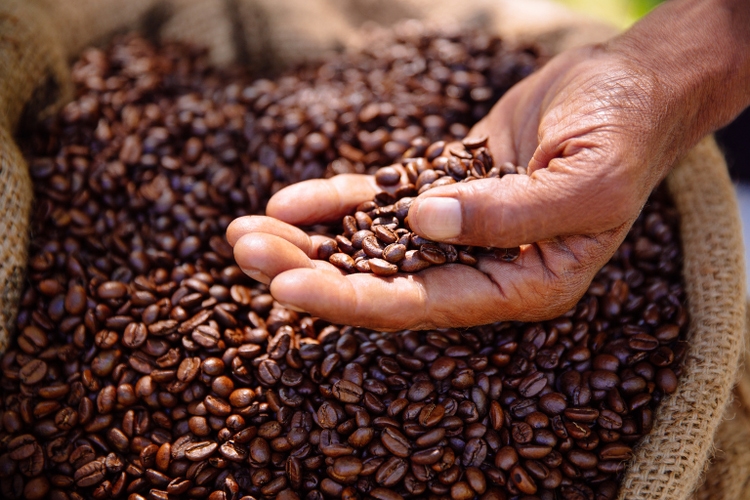 Coffee beans freshly roasted, aromatic and healthy