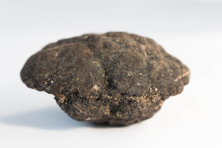 Polymetallic nodules on white background