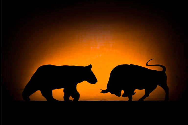 Forex: Bear and bull