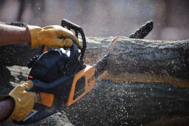 Chain saw cuts a fallen tree