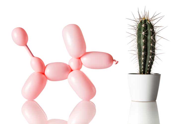 Dog and Cactus - Humor Bizarre Excitement Balloon