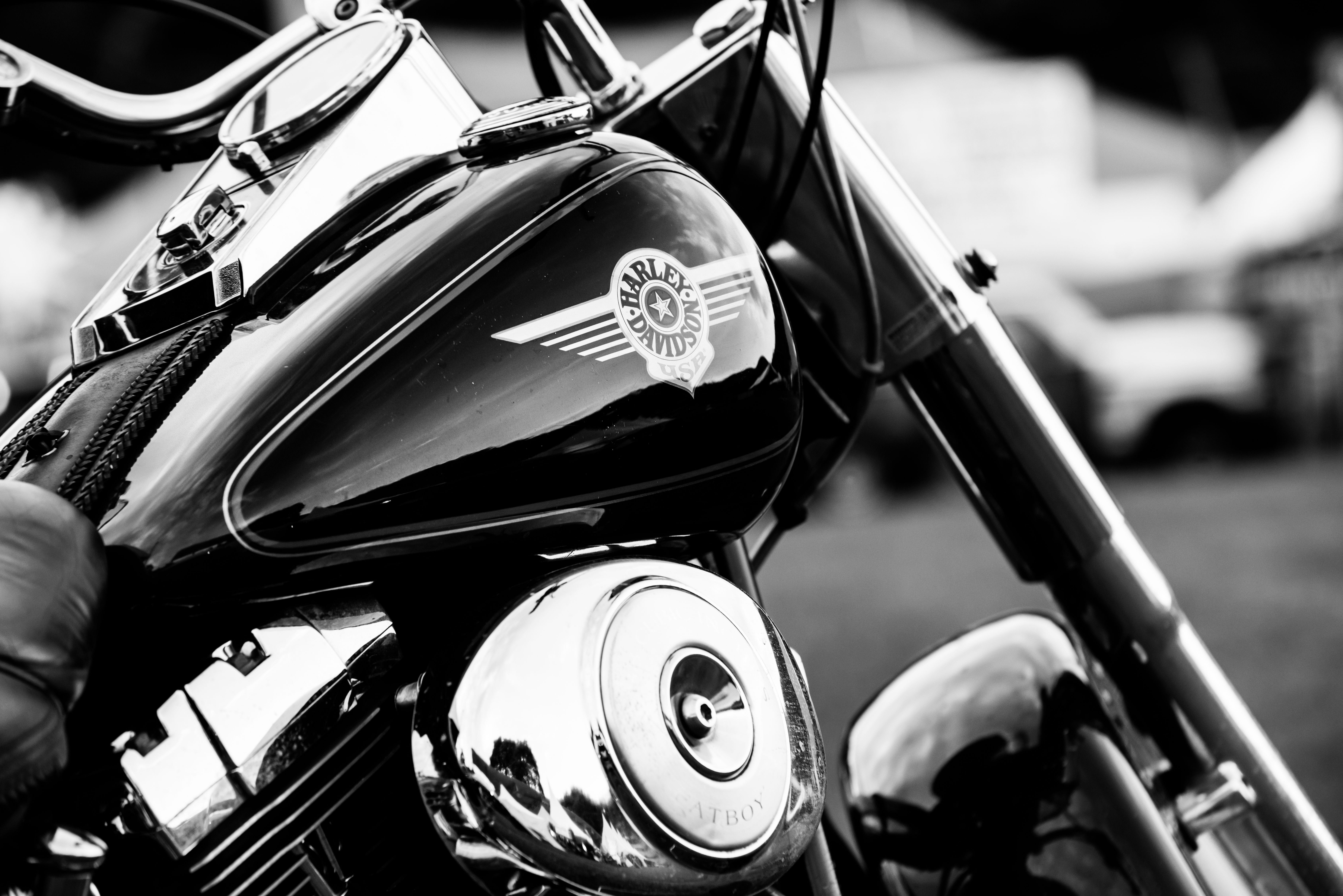 Harley deals davidson shares