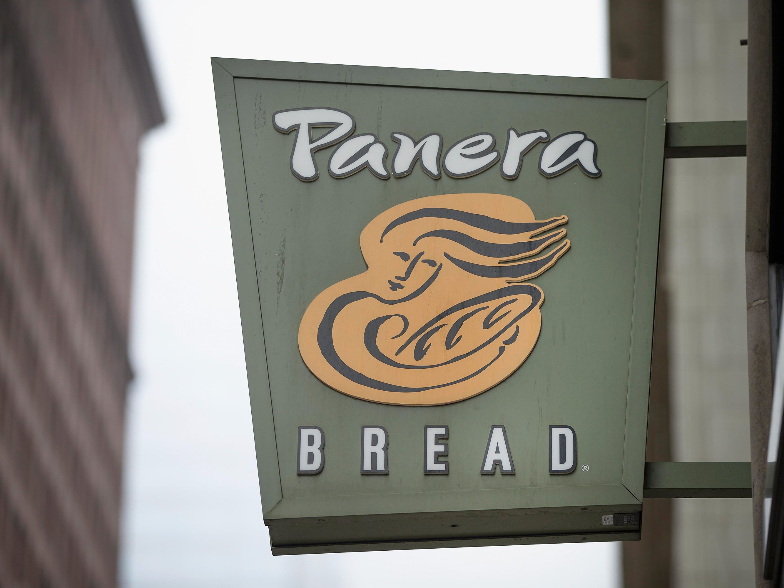 when was panera founded