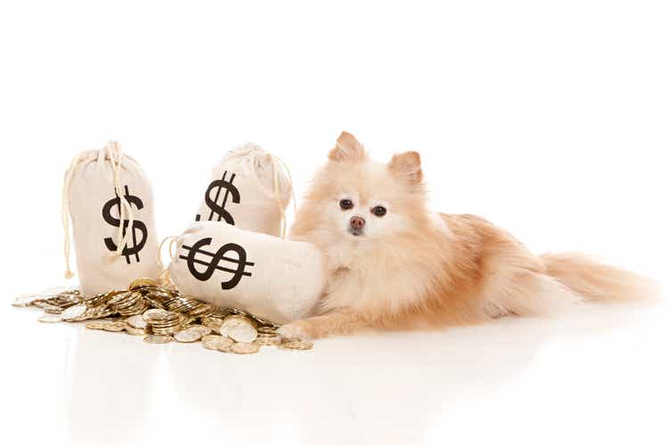 Money Bags
