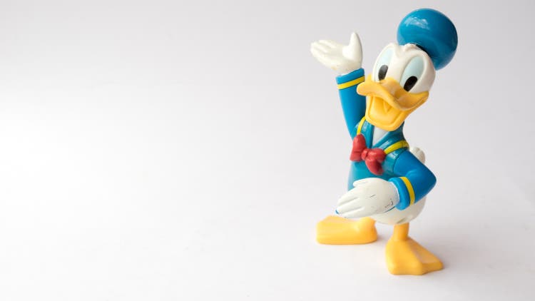 Donald Duck from Mickey Mouse and friends cartoon animation
