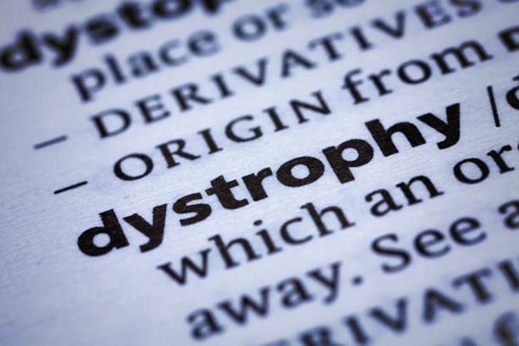 Dictionary Close-up
