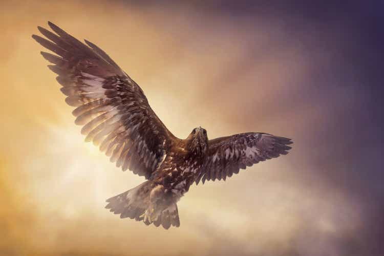 Eagle soaring against a color enhanced sky