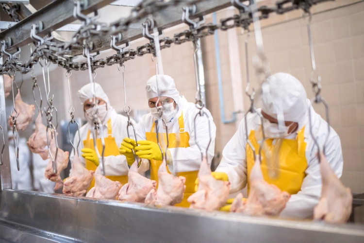 DOJ files antitrust suit over poultry pricefixing (NASDAQSAFM