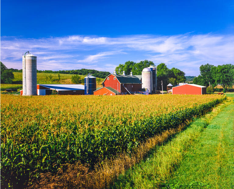 Corn crop and Iowa farm at harvest time