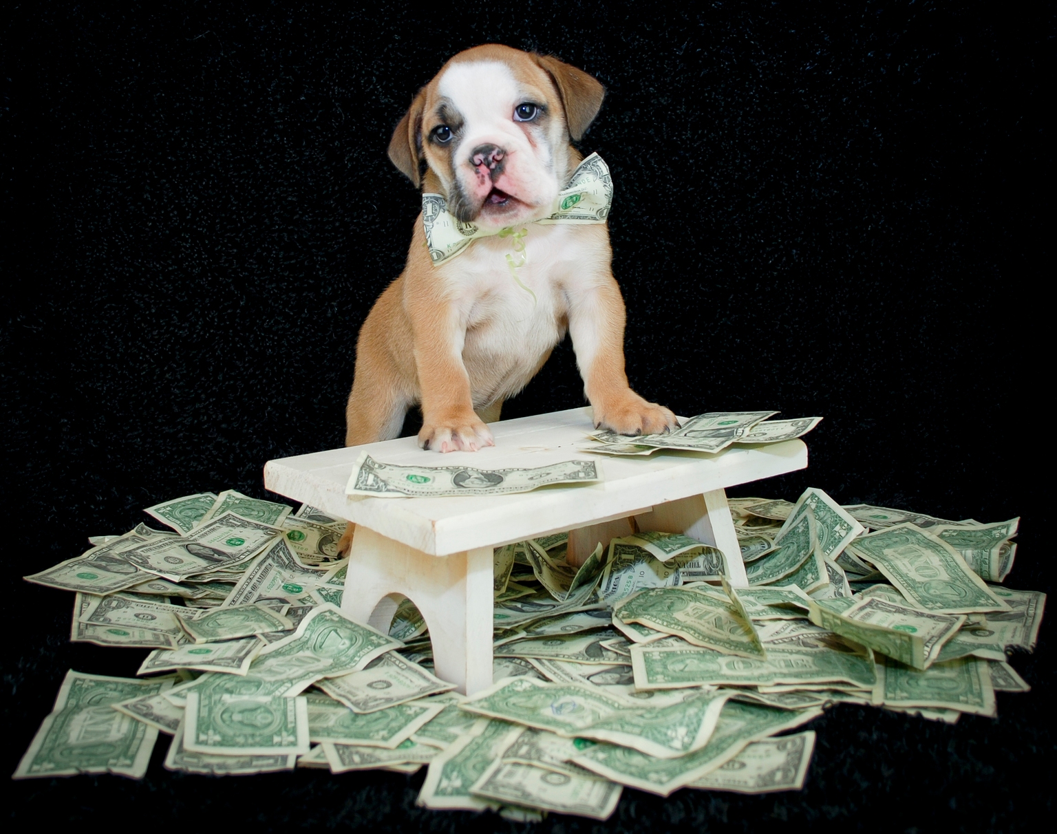 Make Your Cash Get A Job: SGOV (NYSEARCA:SGOV) | Seeking Alpha