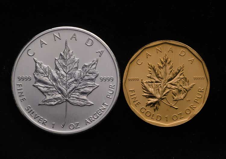Canadian Silver Maple vs. Canada Gold Maple Leaf