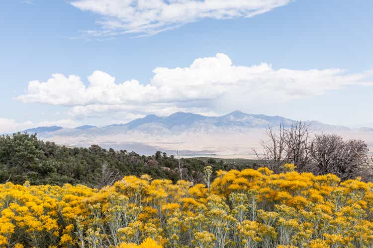 Sagebrush Landscape