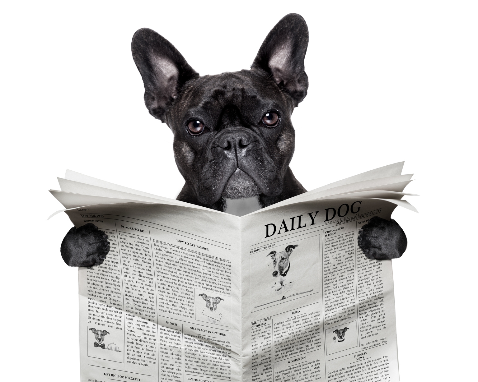 Readers Identify 25 Ideal September Dividend Buys Out Of 39 Picks