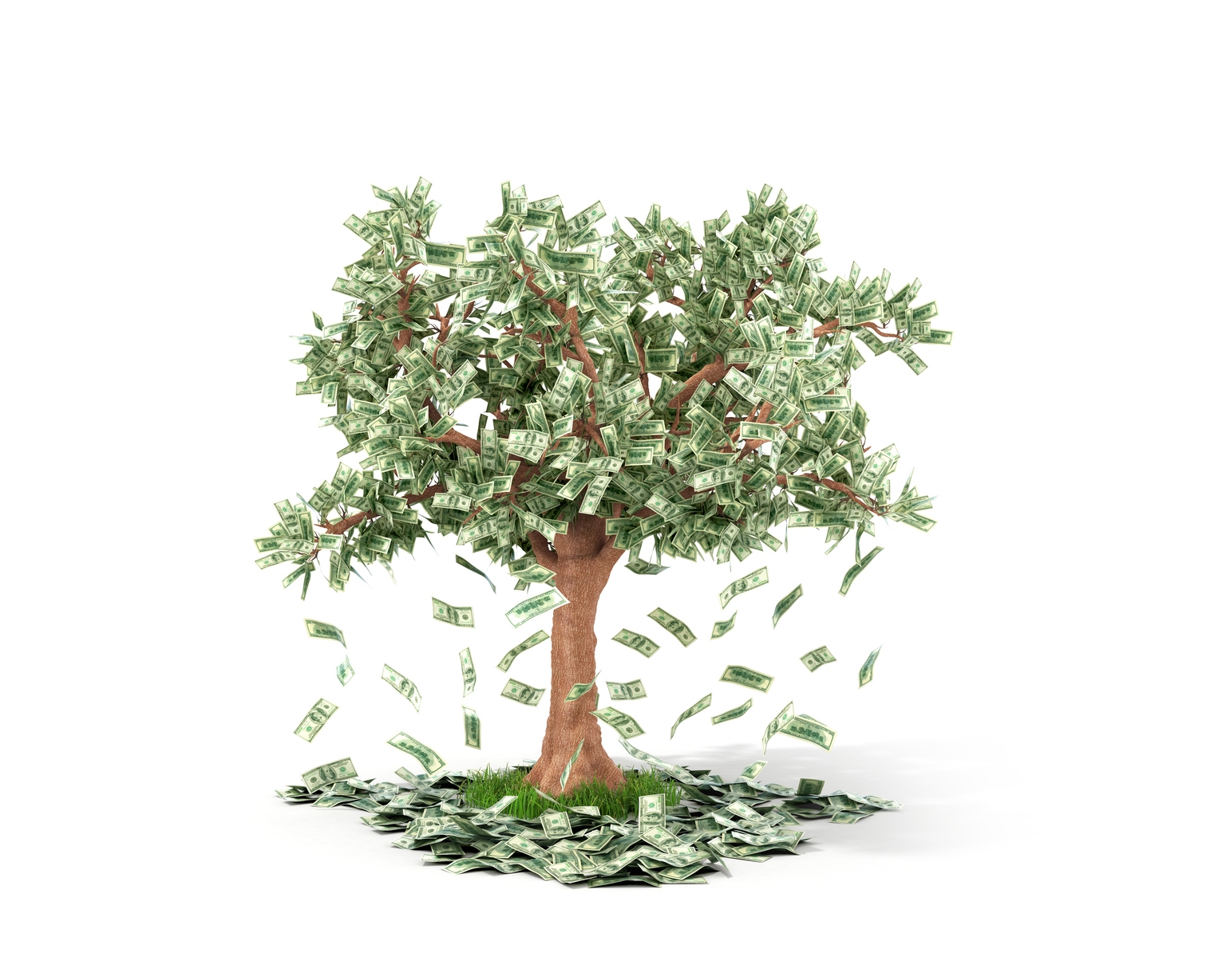 Dollar Tree: Solid Company, Limited Upside