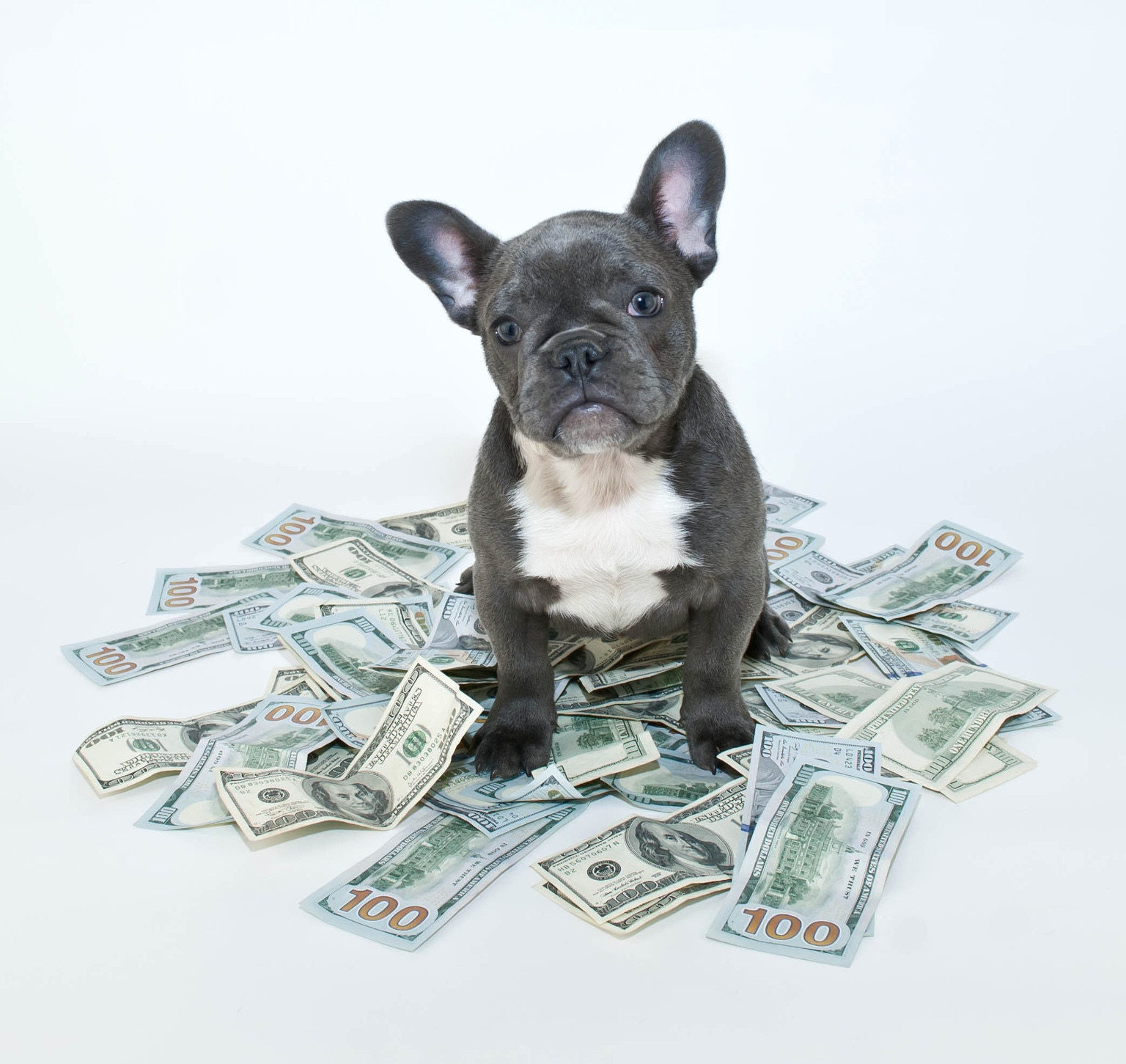 22 May Low Price Top Dog Dividend Fetchers