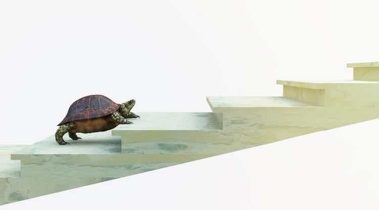moving turtle wants to climb on the stairs concept background