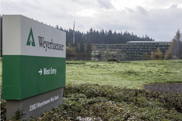 Weyerhaeuser Stock Facing Weaker Prices, And Mixed Appeal (NYSEWY