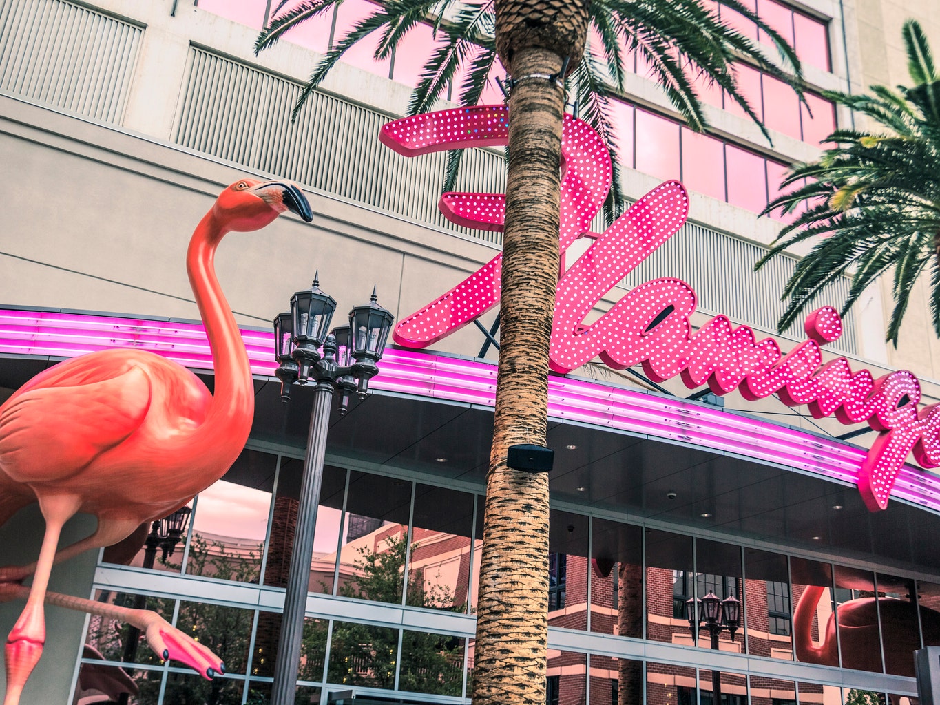 Flamingo Las Vegas Hotel & Casino - Caesars Entertainment - Official Site