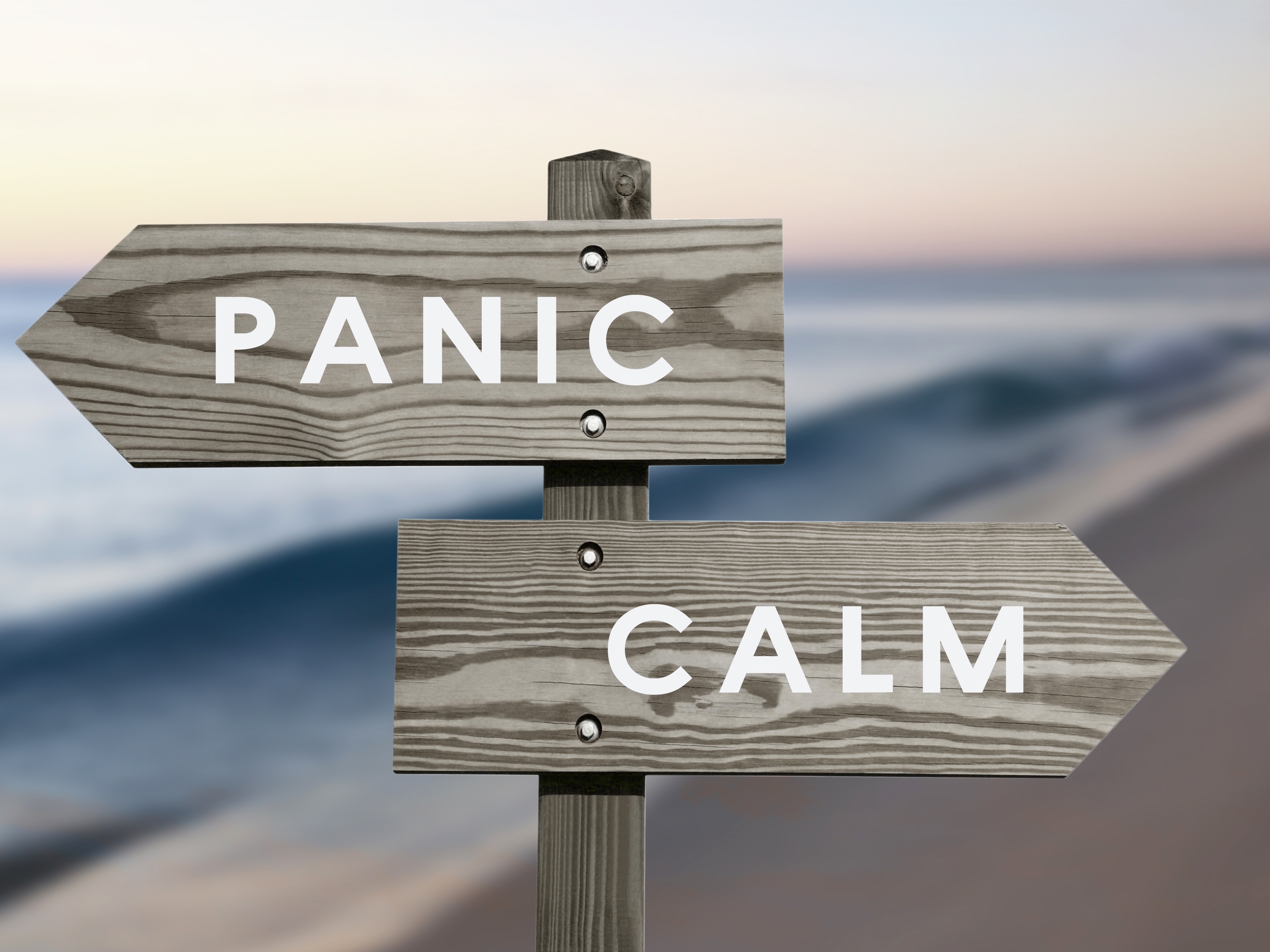 Brace For Impact! How To Survive And Thrive During The Coming Misery |  Seeking Alpha