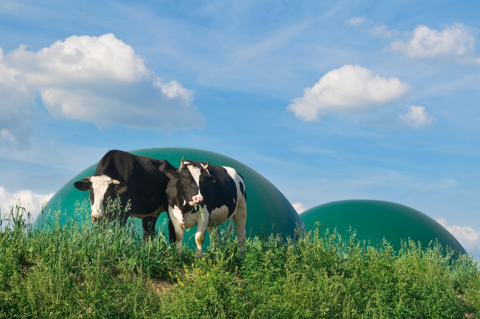 Clean Energy Fuels: Sell-Off Is An Attractive Buying Opportunity