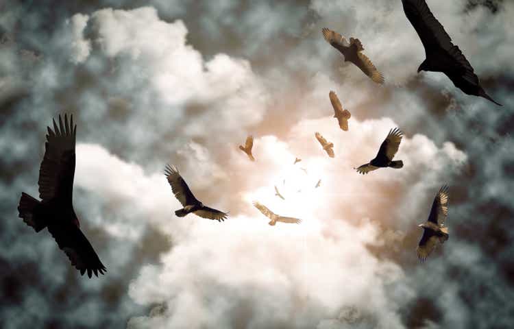 Circling Vultures